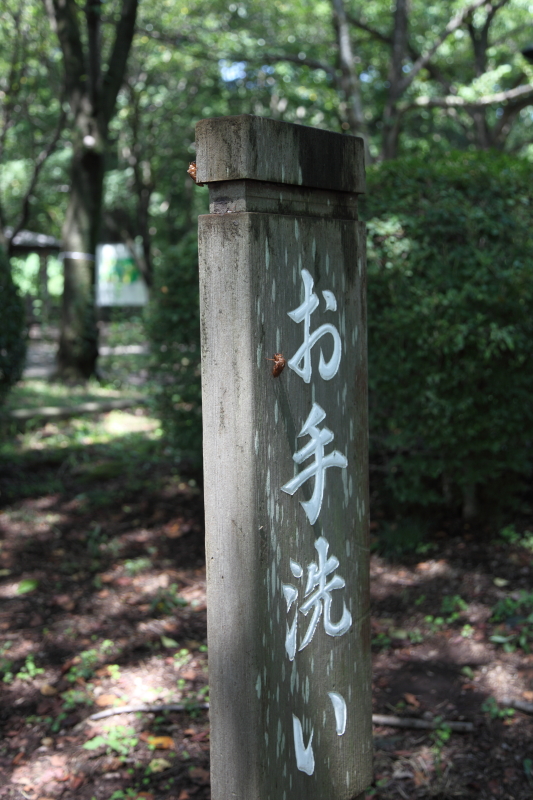 f0049565_21261338.jpg