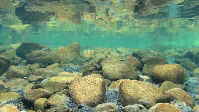 a0216469_21163319.jpg