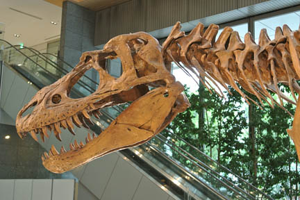 a0121671_11145450.jpg