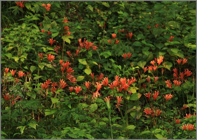f0181173_22561013.jpg