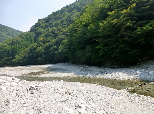 a0157174_17454211.jpg
