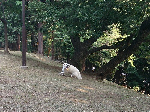 b0136381_20141139.jpg
