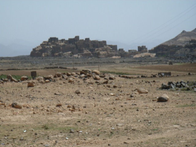 b0287088_8461034.jpg