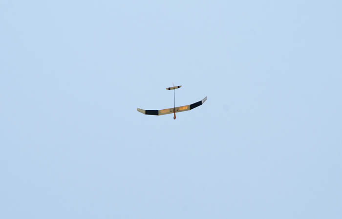 f0175989_2155464.jpg