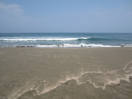 a0281590_1744459.jpg