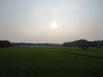 a0117599_1932668.jpg