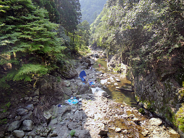b0108100_21225074.gif