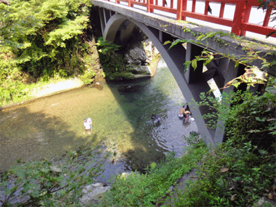 b0108100_21235814.gif