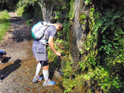 b0108100_2129276.gif