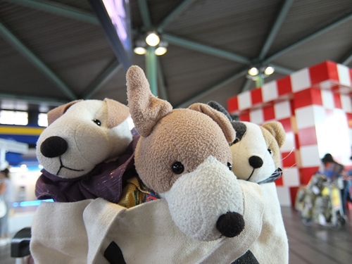 f0256400_12523591.jpg