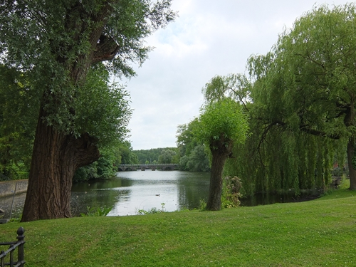 f0256400_1924065.jpg