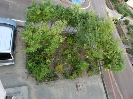 a0203003_2252893.jpg