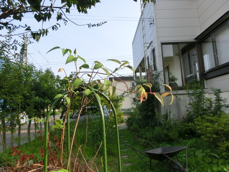 a0203003_2271528.jpg