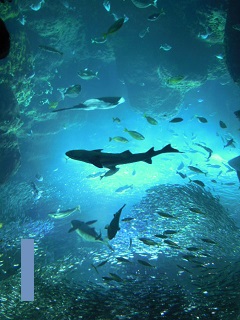 e0144903_166789.jpg