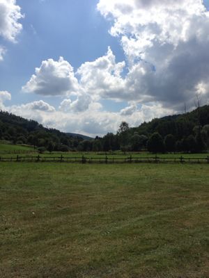 f0248903_0323421.jpg