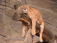 e0200405_22335483.jpg