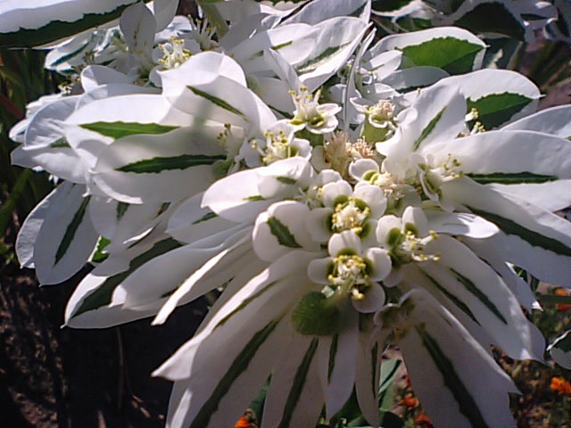 f0231709_18373372.jpg