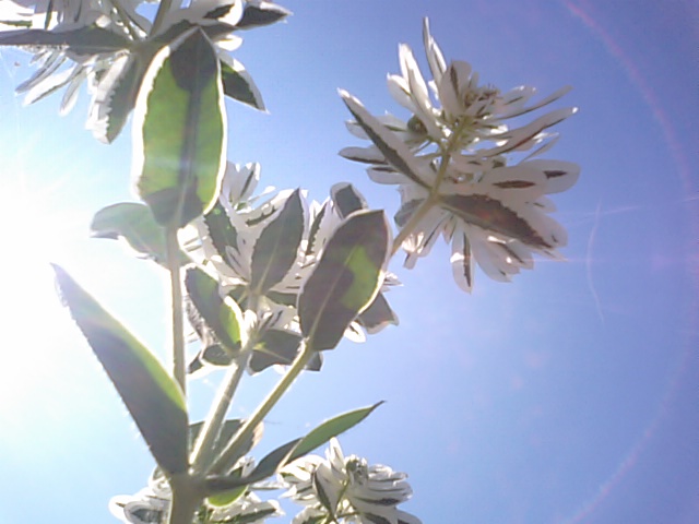 f0231709_18383149.jpg