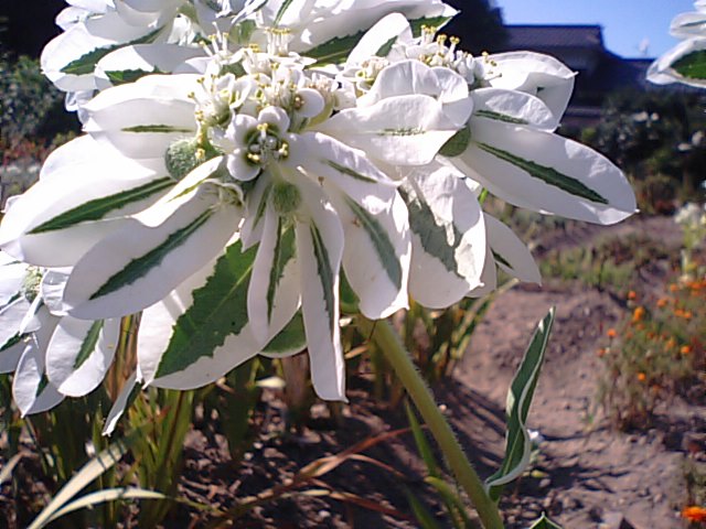 f0231709_18385110.jpg
