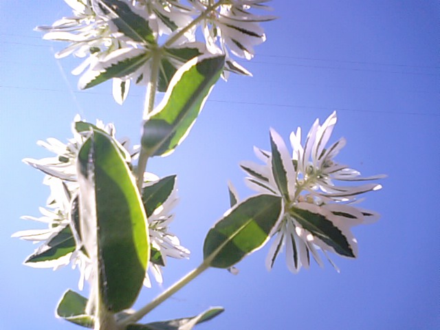 f0231709_18393451.jpg
