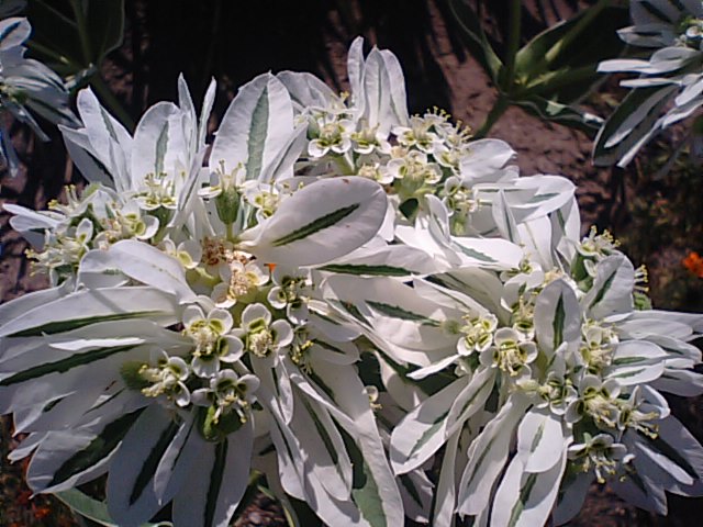 f0231709_18403071.jpg
