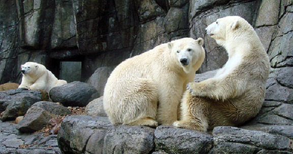 a0151913_224408.jpg
