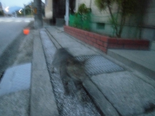 b0073616_14533664.jpg