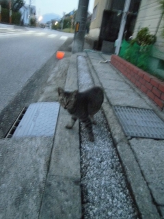 b0073616_1455640.jpg
