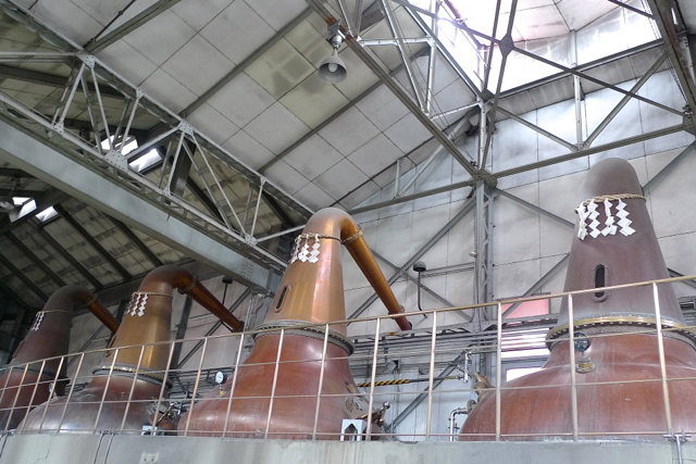 e0157816_1033064.jpg