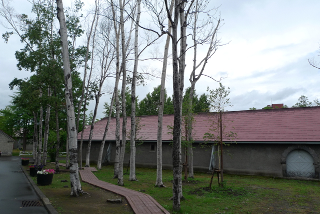 e0157816_1051293.jpg