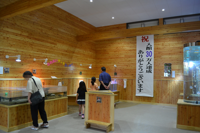 b0121019_21221693.png