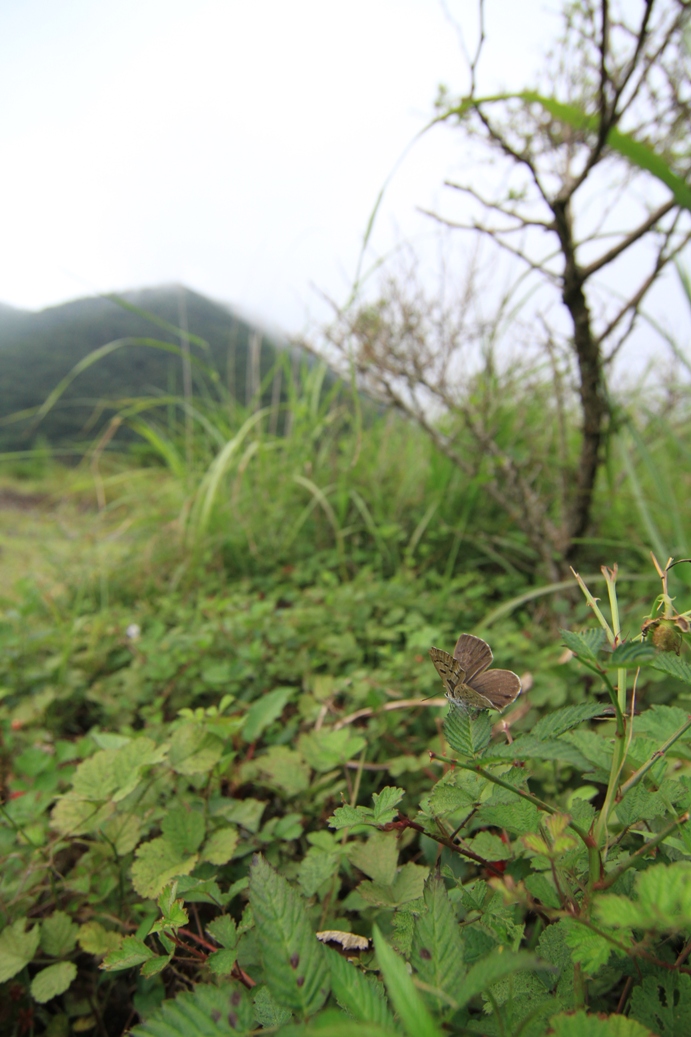 b0146723_0475250.jpg