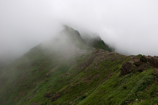 f0040525_19572397.jpg