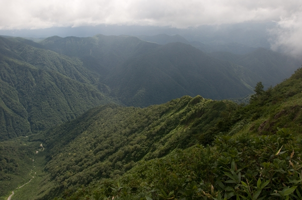 f0040525_19581047.jpg