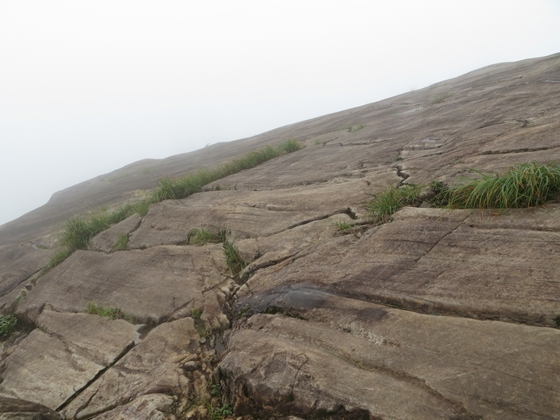 f0040525_2046462.jpg