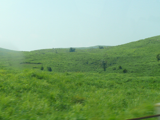 a0162330_10424430.jpg