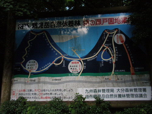 a0289641_1113262.jpg