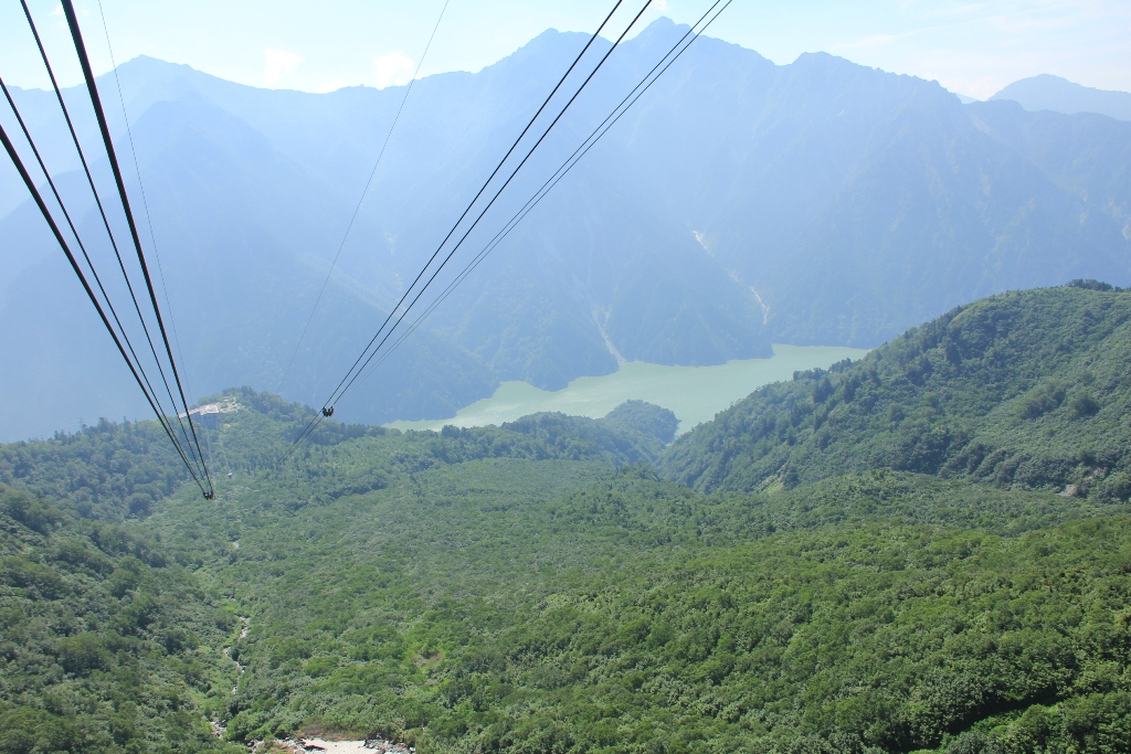 d0132743_21465756.jpg