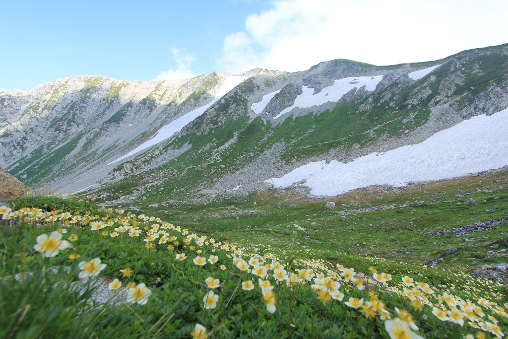 d0132743_22141522.jpg