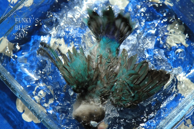 c0145250_10355653.jpg