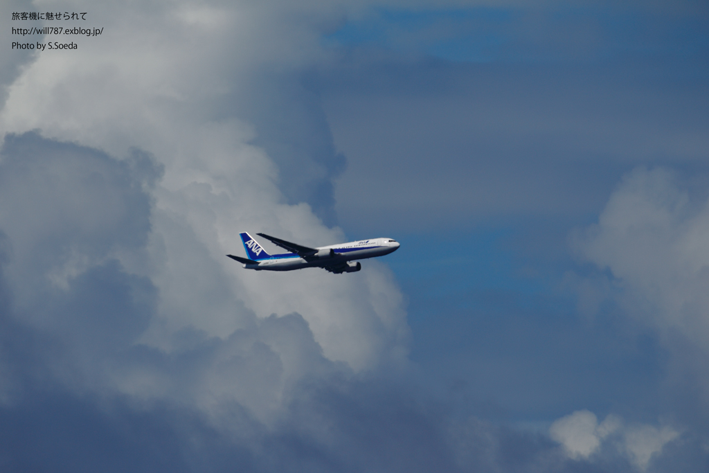 d0242350_8271225.jpg
