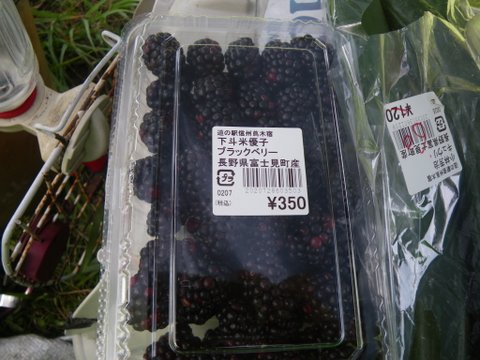 f0046250_1624918.jpg