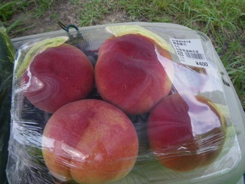 f0046250_16253163.jpg