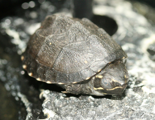f0224952_18342541.jpg