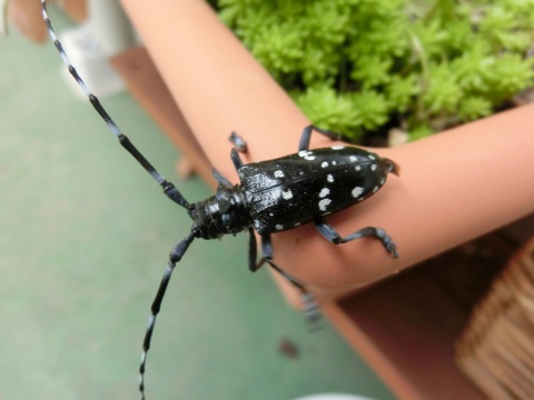 e0045768_2112696.jpg