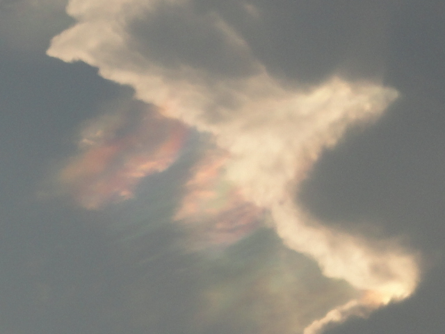d0109373_17195514.jpg