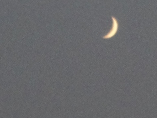 d0109373_17251474.jpg