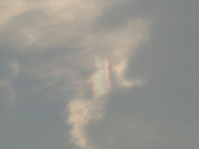 d0109373_17475436.jpg
