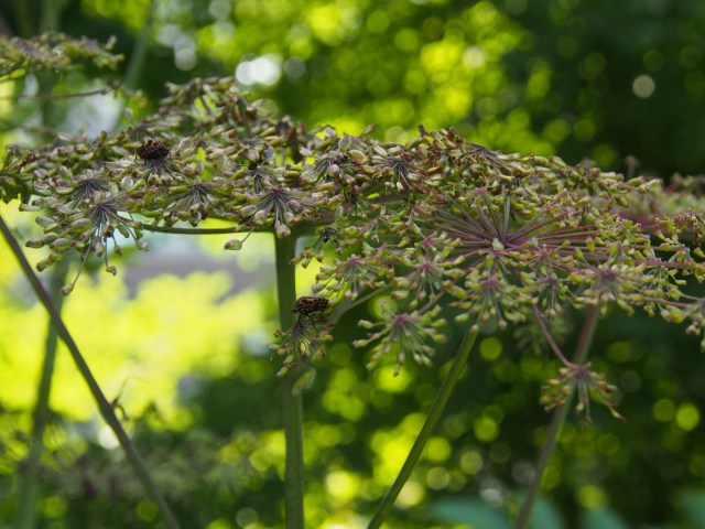 c0183777_1852258.jpg