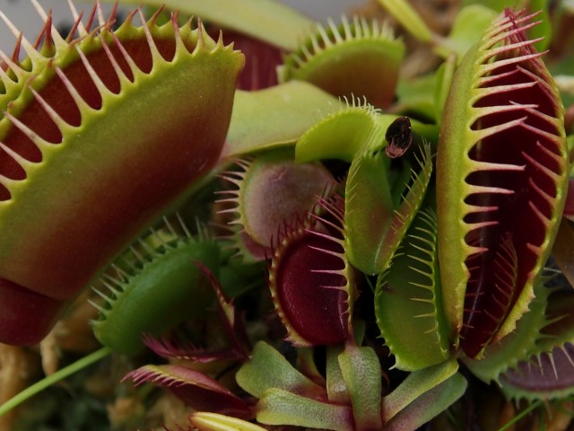 c0183777_7131291.jpg